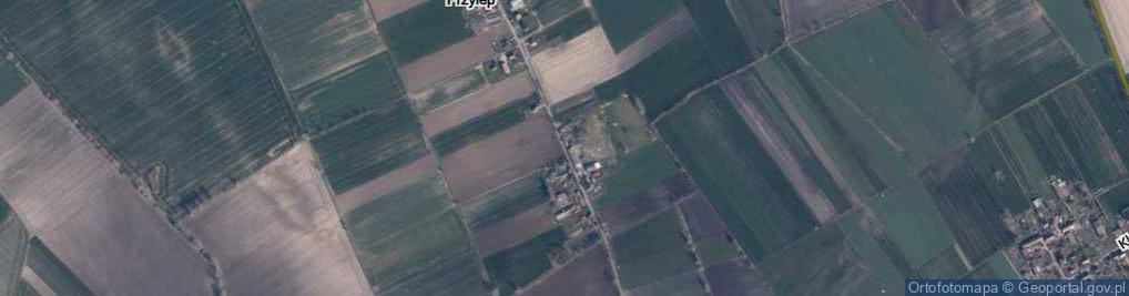 Zdjęcie satelitarne Nowy Przylep ul.